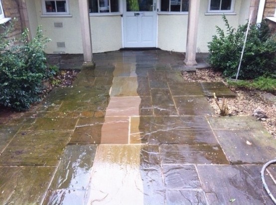 f-21-15-7876231_RLIMjYVu_Wilkin